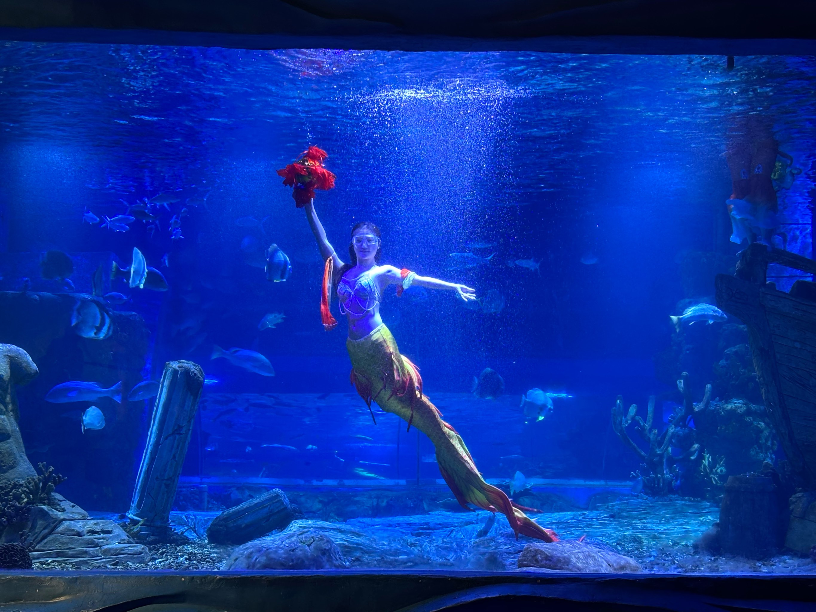 水下浮潜体验活动,探索海底世界奇观 水下浮潜体验活动,探索海底世界奇观