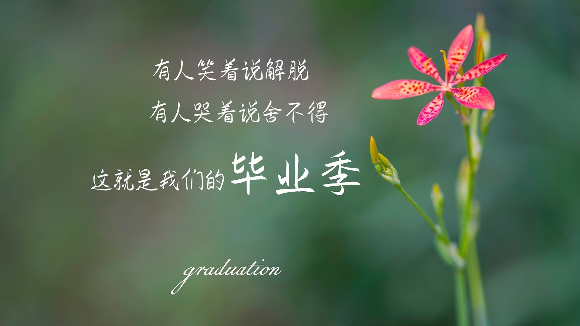 APEX英雄 新星选手异军突起,apex英雄突击手