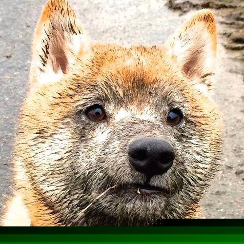 《青少年电竞政策推动:保护未成年人健康成长》,青少年电竞训练营价格