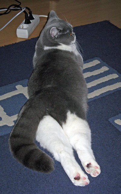 《青少年电竞竞技：成长的烦恼与未来的希望》，电竞青少年的逐梦路