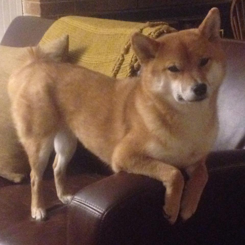 LEYU乐鱼体育官方网站-中超联赛智能直播系统全面推进，提升观赛体验，中超联赛直播app