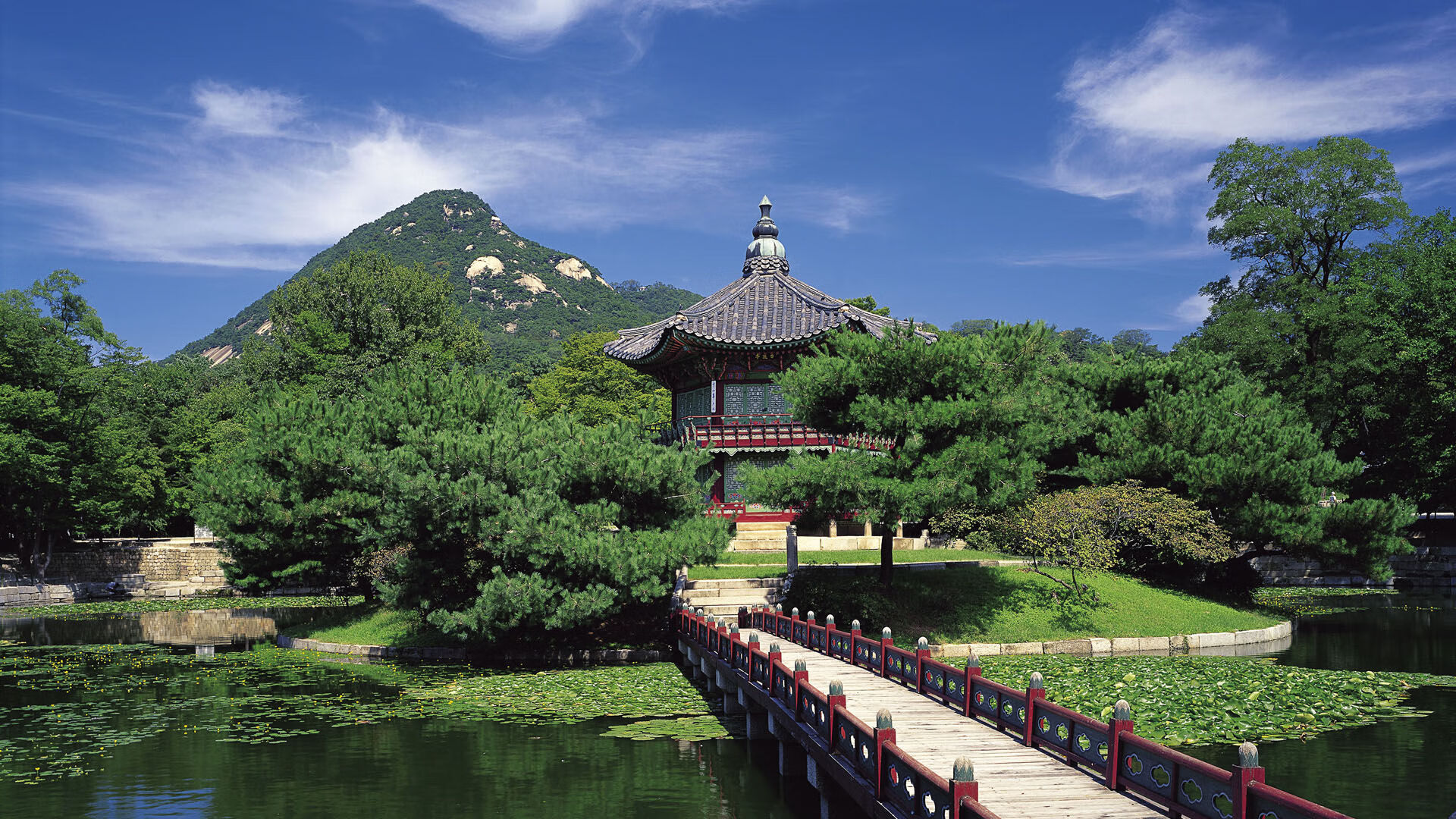 明星对决：张伟狂砍29分，场上表现惊艳！，张伟是不是明星