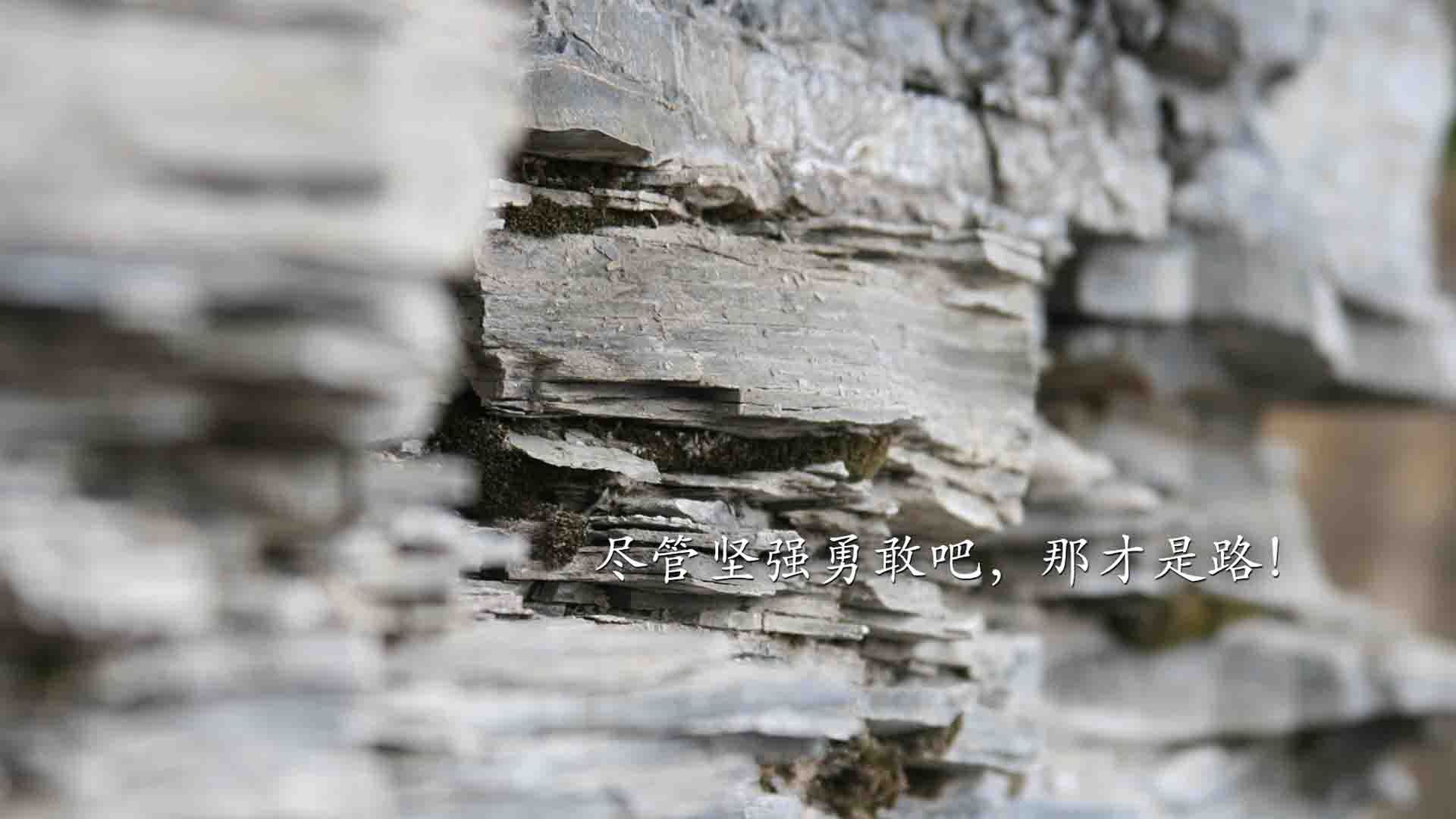 篮球赛事直播技术升级提升观赛体验,篮球比赛现场直播节目