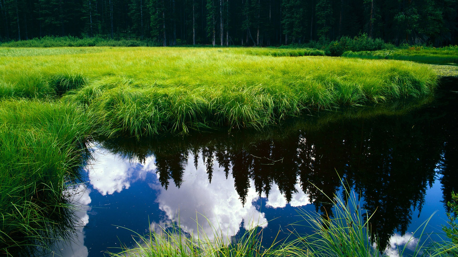 尤文图斯老将确认本赛季结束退役计划，尤文图斯 退役
