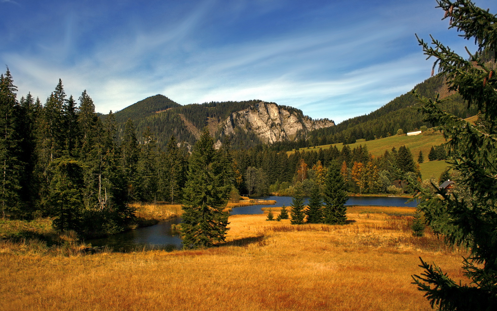 leyu乐鱼体育综合-体育发展规划执行情况督查反馈机制建议，体育督查自查报告