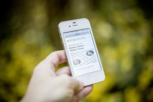 APP下载 LY Sports-高校体育智能监控系统设计与应用，高校体育gps