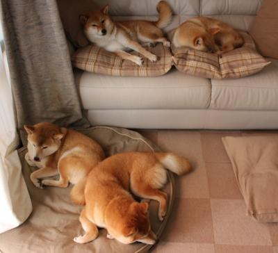 中国女篮逐步建立核心阵容 教练战术意图明确,中国女篮教练员是谁