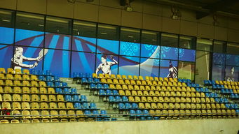 LeyuSports-澳大利亚队未来如何利用青训体系打造新一代乒乓巨星，澳大利亚乒乓球