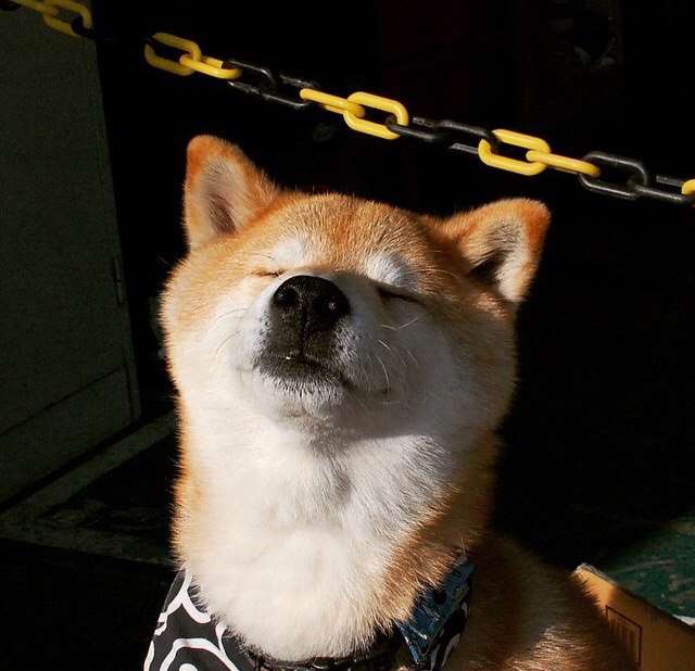 欧洲杯激战正酣:策略变阵,引领潮流,欧洲杯z