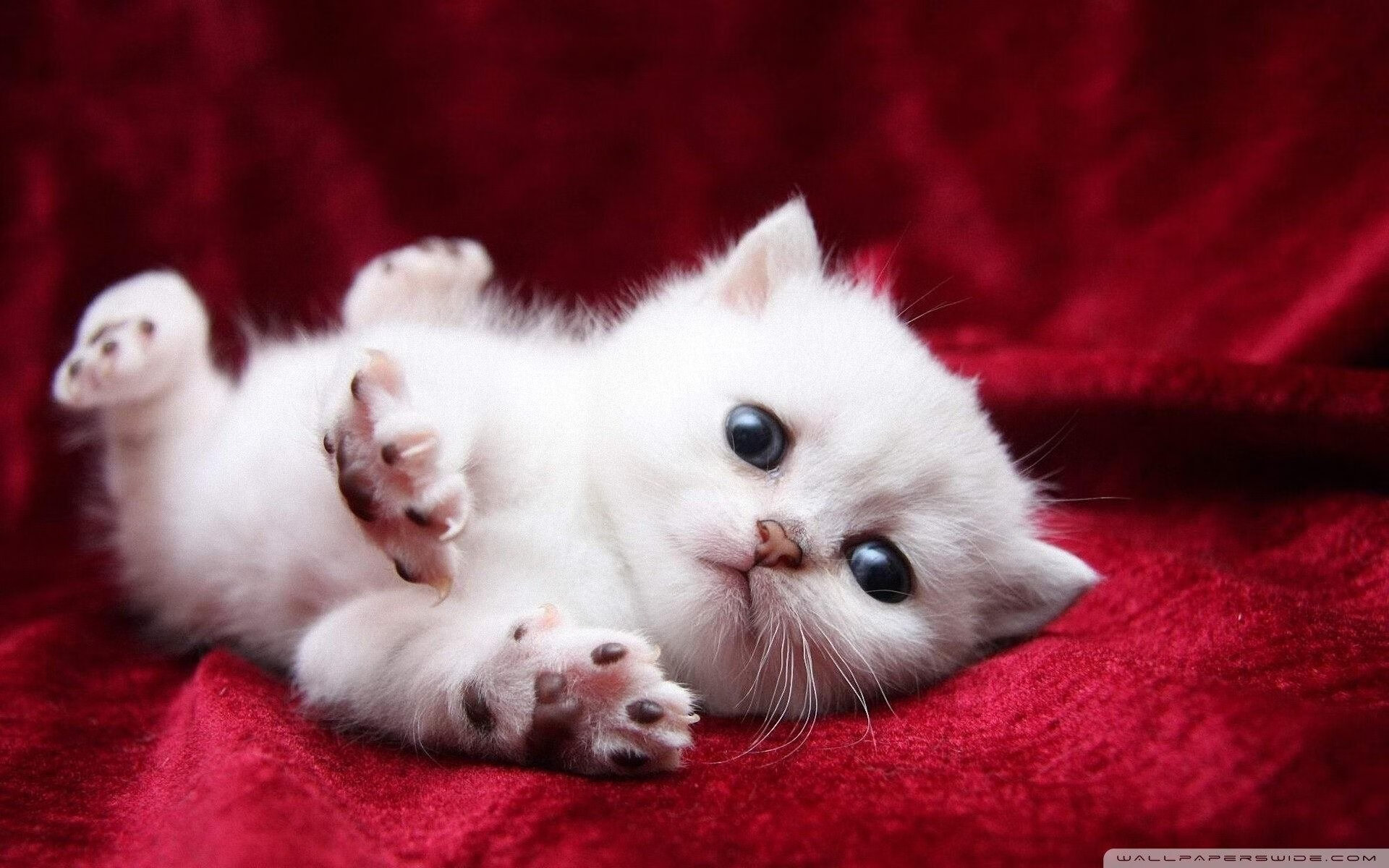 英超惊心动魄:逆转攻势令人心跳加速,英超逆袭夺冠