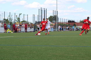 乐鱼app-荷兰队在国际赛场持续强势，晋级形势良好