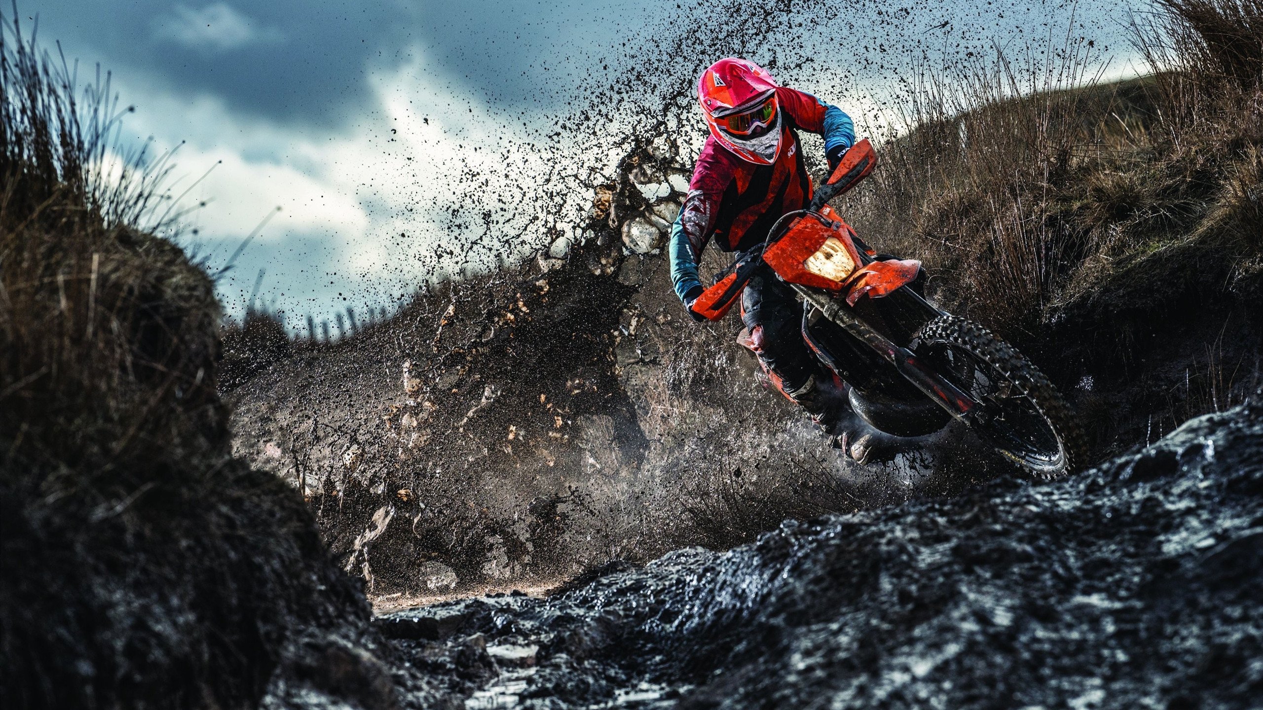 “德甲最后冲刺，领先队伍展现强大火力”，德甲还剩几轮结束